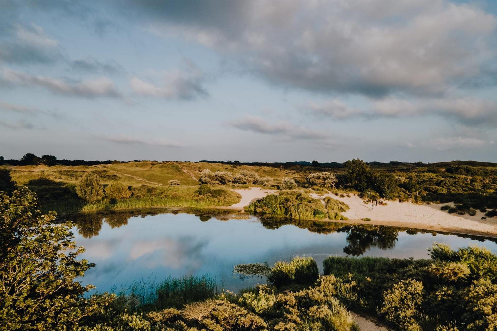 Stek Aan Zee Daire Zandvoort Dış mekan fotoğraf